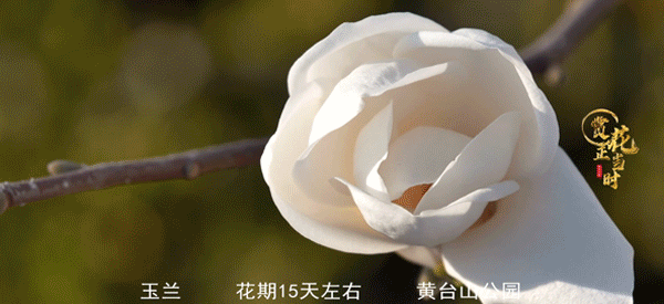 微信图片_20210306223932.gif