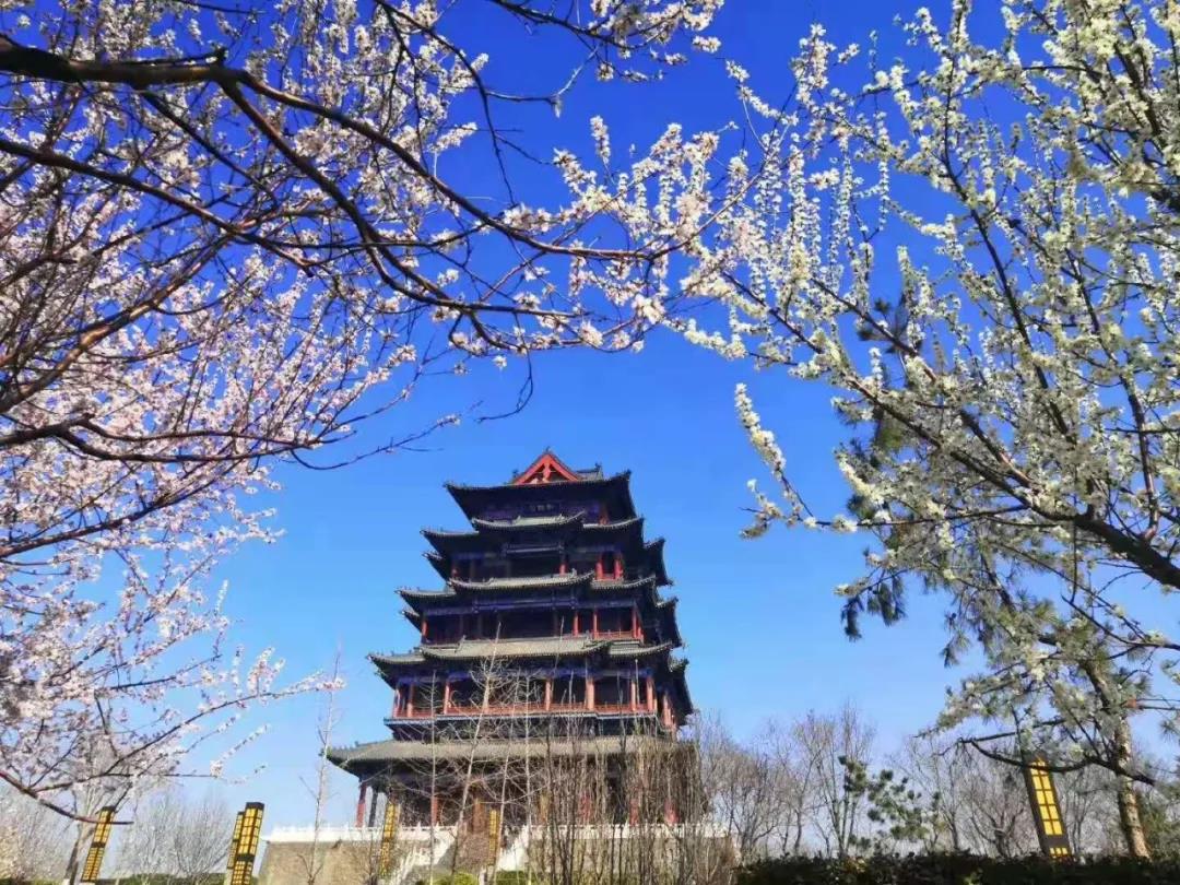 微信图片_20210310235515.jpg