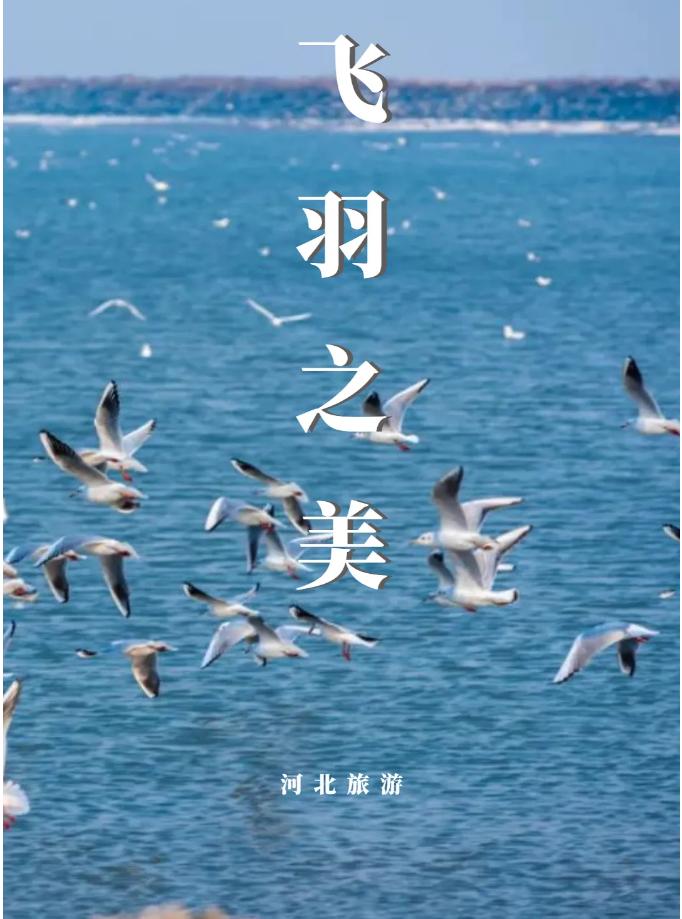截图_选择区域_20220113154613.jpg