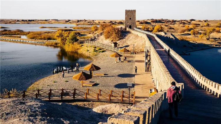 图片1.jpg 图片1.jpg