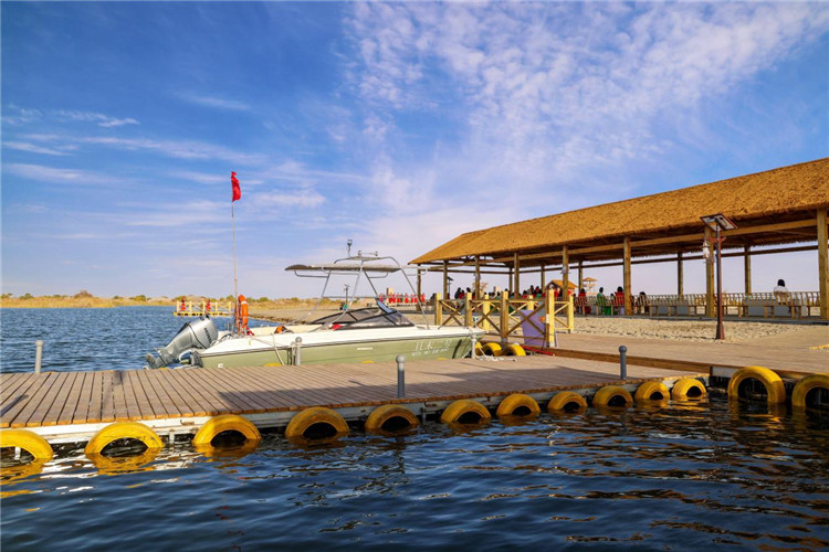 图片2.jpg 图片2.jpg