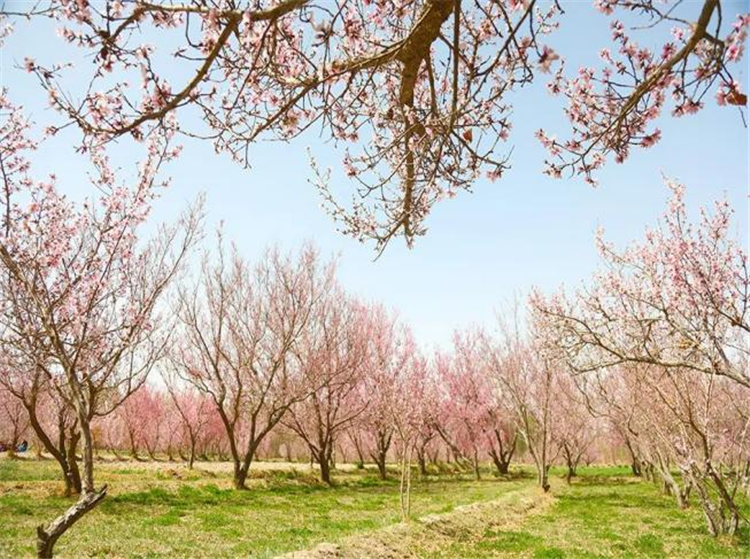 图片1.png 图片1.png