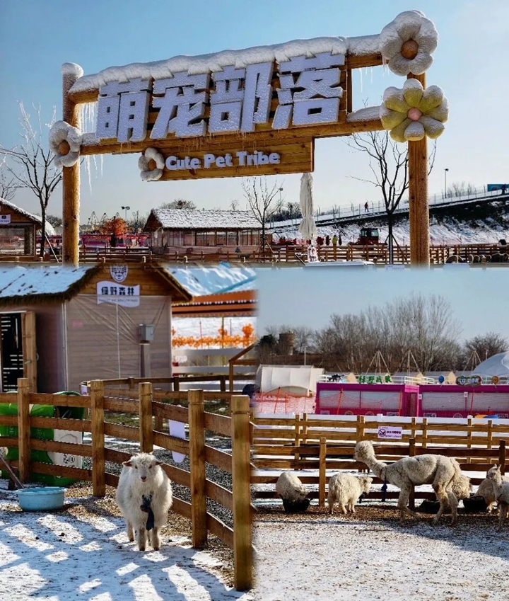 微信图片_2026-02-14_180219_071.jpg 微信图片_2026-02-14_180219_071.jpg