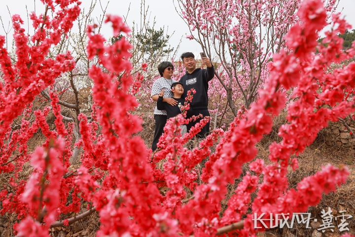 图为游客在拍照3 李少华 摄.jpg